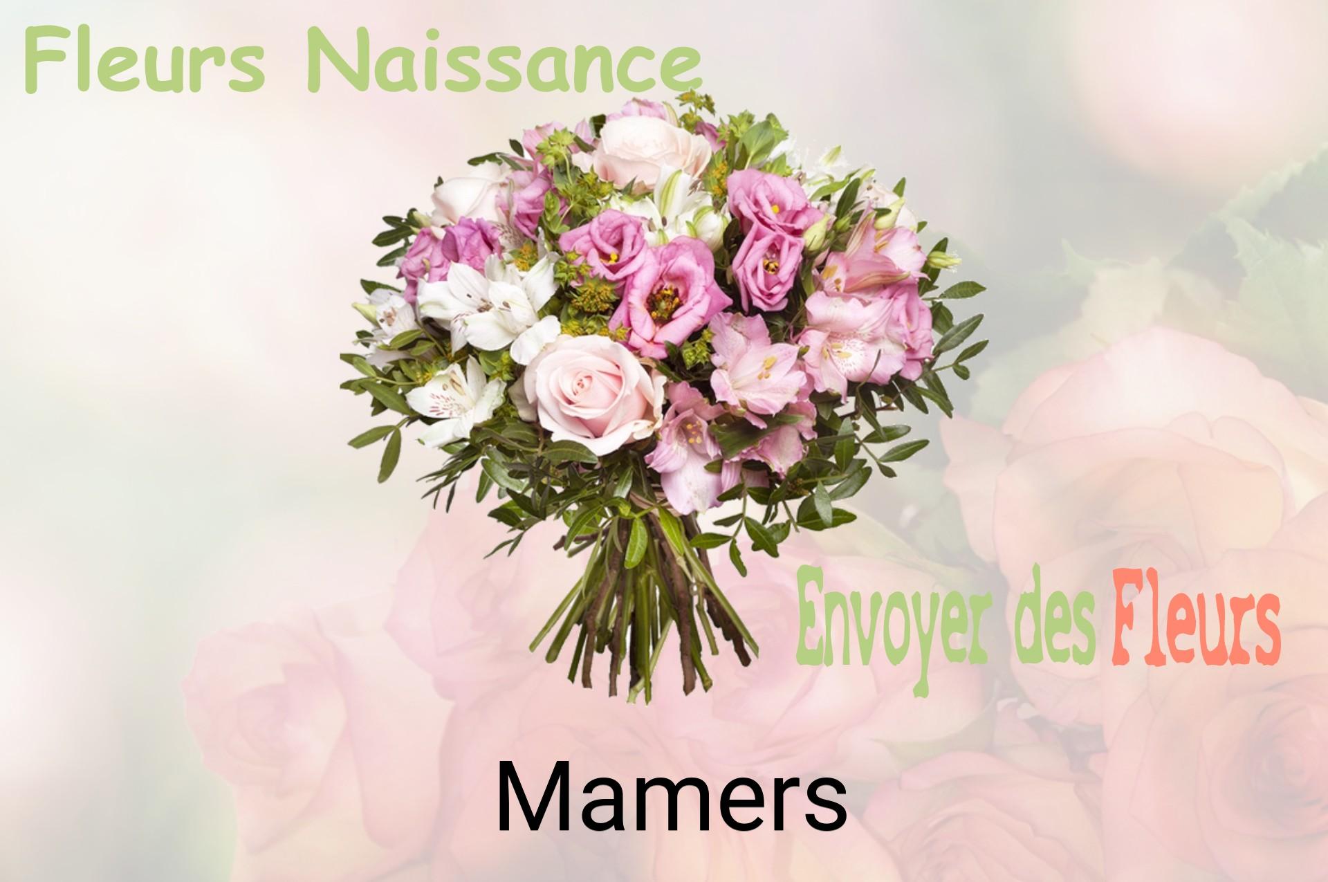 Bouquet de fleurs de naissance livré à Mamers