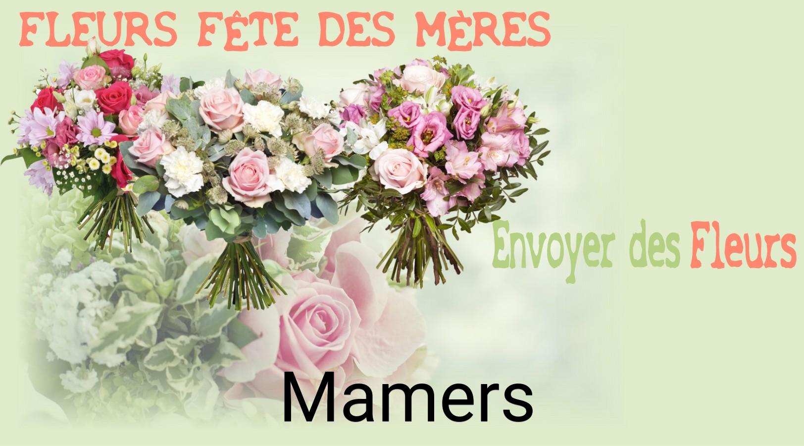 Bouquet de Fête des Mères livré à Mamers